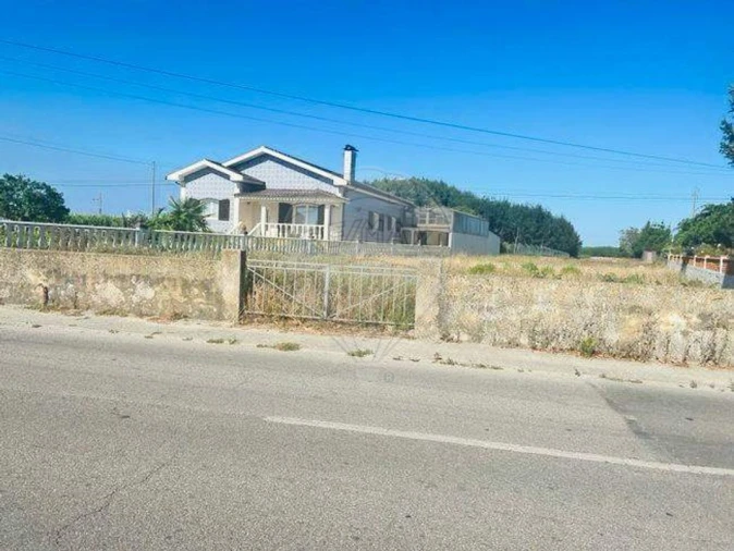 Terreno para Venda em Bustos, Troviscal e Mamarrosa Foto 2