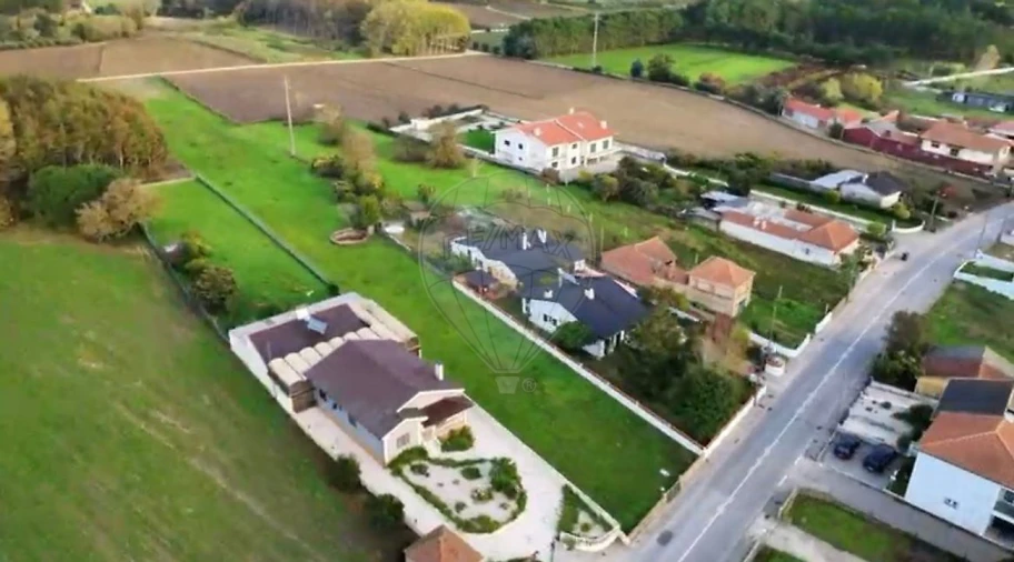 Terreno para Venda em Bustos, Troviscal e Mamarrosa Foto 3