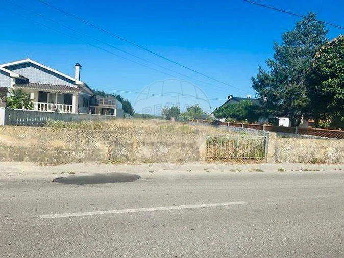 Terreno para Venda em Bustos, Troviscal e Mamarrosa