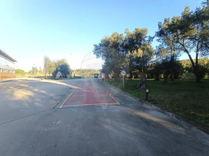 Armazém para Venda em Gavião e Atalaia Foto 6