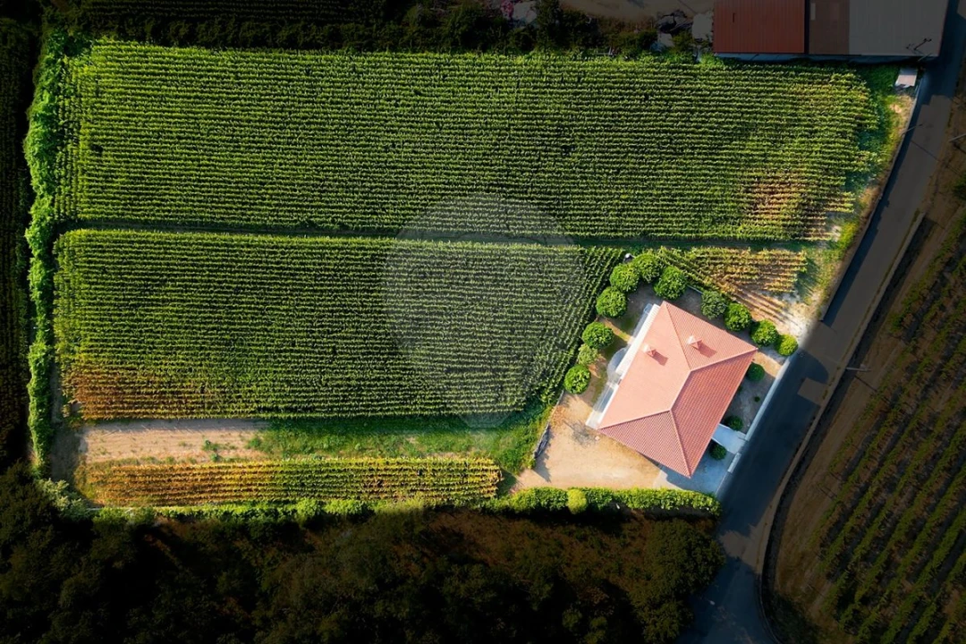 Moradia T3 para Venda em Lemenhe, Mouquim e Jesufrei Foto 28