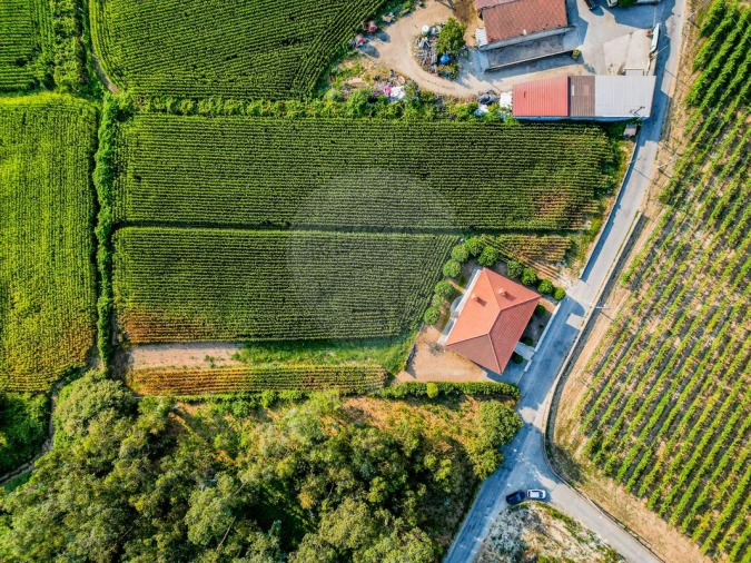 Moradia T3 para Venda em Lemenhe, Mouquim e Jesufrei Foto 29