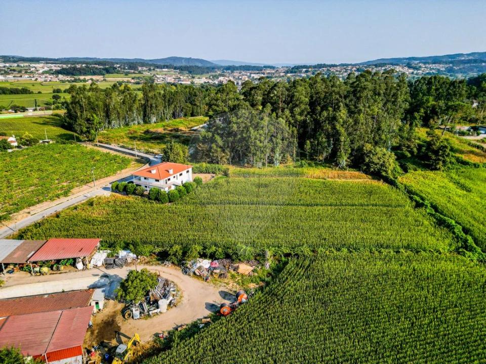 Terreno para Venda em Lemenhe, Mouquim e Jesufrei Foto 5