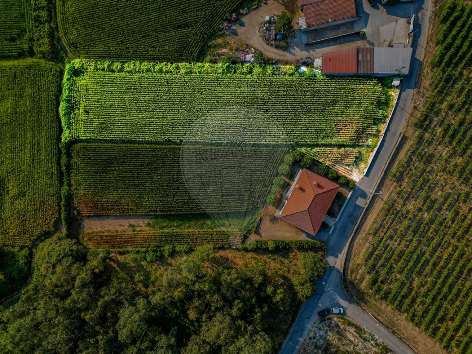 Terreno para Venda em Lemenhe, Mouquim e Jesufrei Foto 3