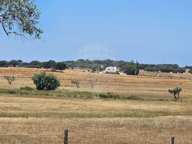 Moradia T6 para Venda em Viana do Alentejo Foto 6