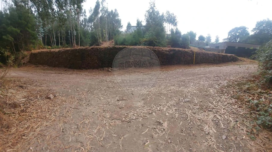 Terreno para Venda em Vila de Cucujães