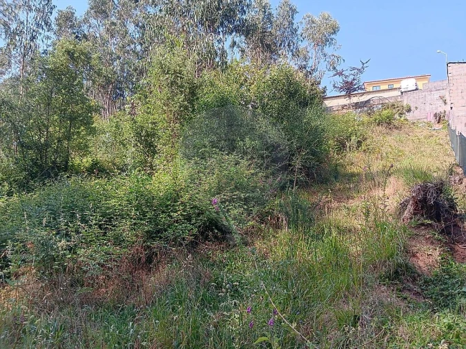 Terreno para Venda em Vila de Cucujães Foto 5