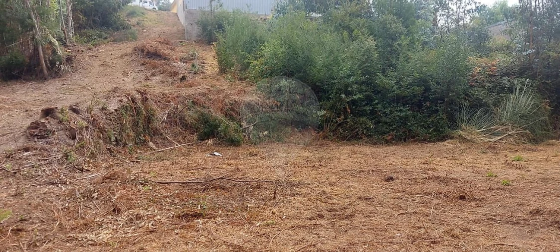 Terreno para Venda em Vila de Cucujães Foto 9