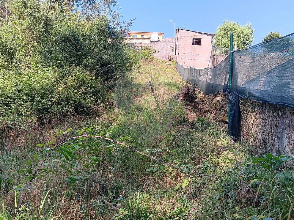 Terreno para Venda em Vila de Cucujães Foto 4