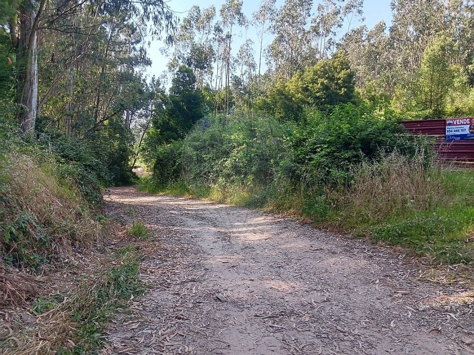 Terreno para Venda em Vila de Cucujães Foto 8