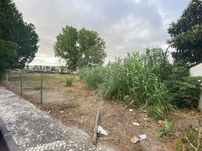 Terreno para Venda em Santo Antão e São Julião do Tojal Foto 4