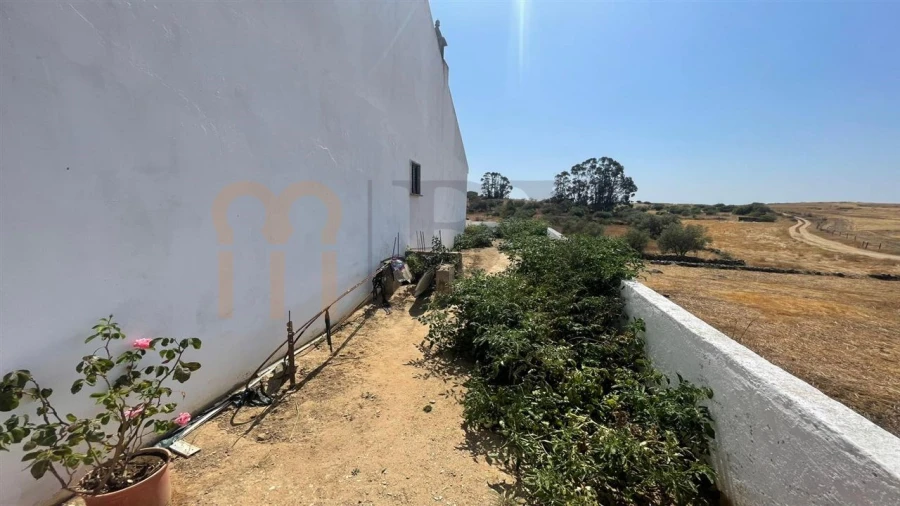 Moradia T2 para Venda em São Miguel do Pinheiro, São Pedro de Solis, São Sebastião dos Carros Foto 24