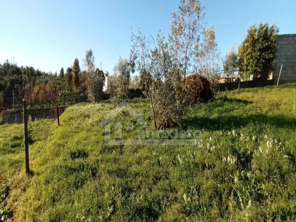 Moradia T3 para Venda em Pedrogão Grande Foto 23