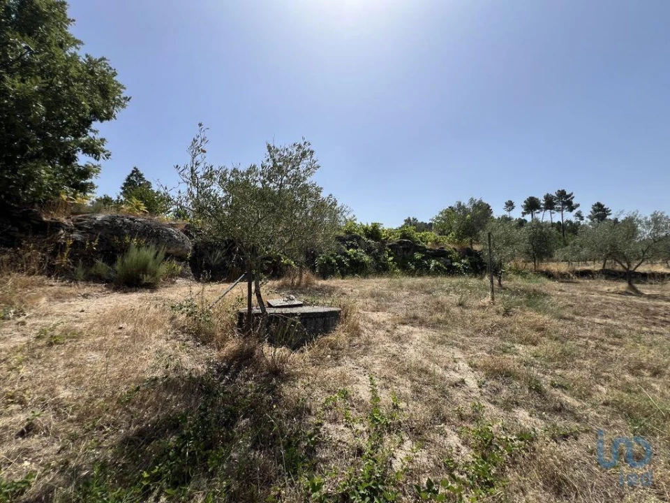 Terreno para Venda em Sernancelhe e Sarzeda Foto 6