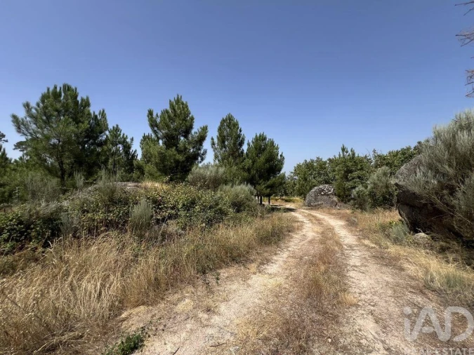 Terreno para Venda em Sernancelhe e Sarzeda Foto 20