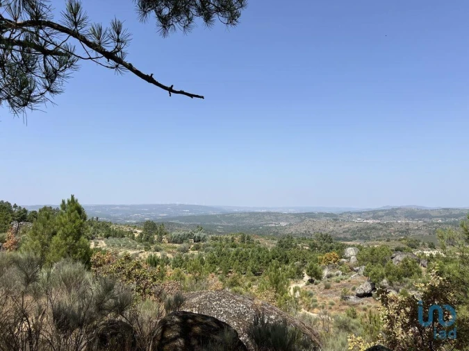 Terreno para Venda em Sernancelhe e Sarzeda Foto 11