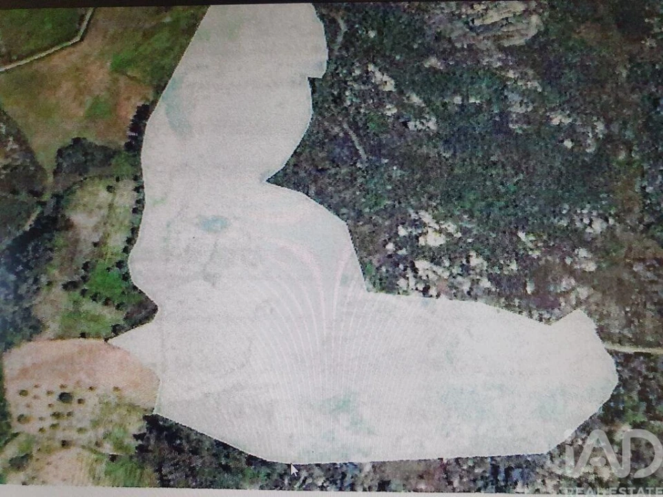 Terreno para Venda em Sernancelhe e Sarzeda Foto 21