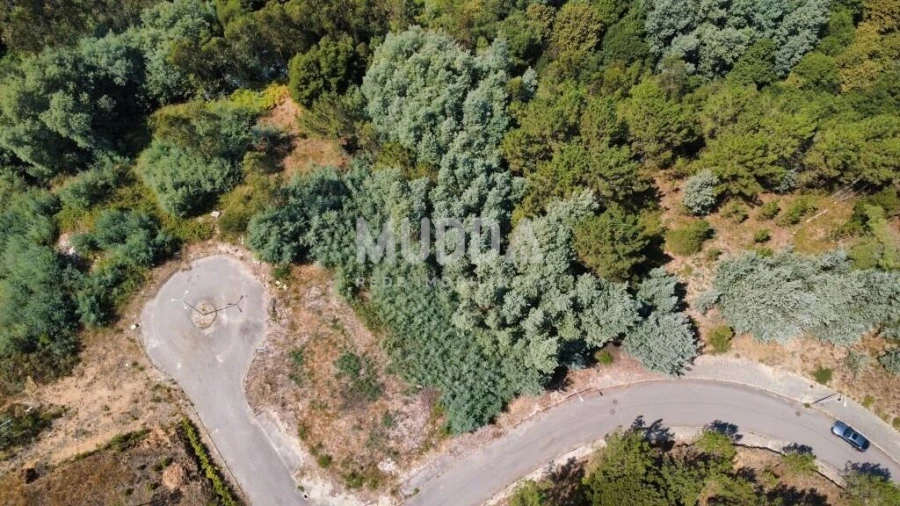 Terreno para Venda em Nogueira do Cravo e Pindelo Foto 3