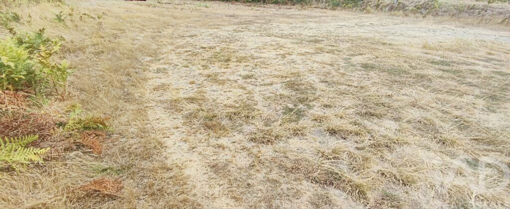 Terreno para Venda em Sopo Foto 5