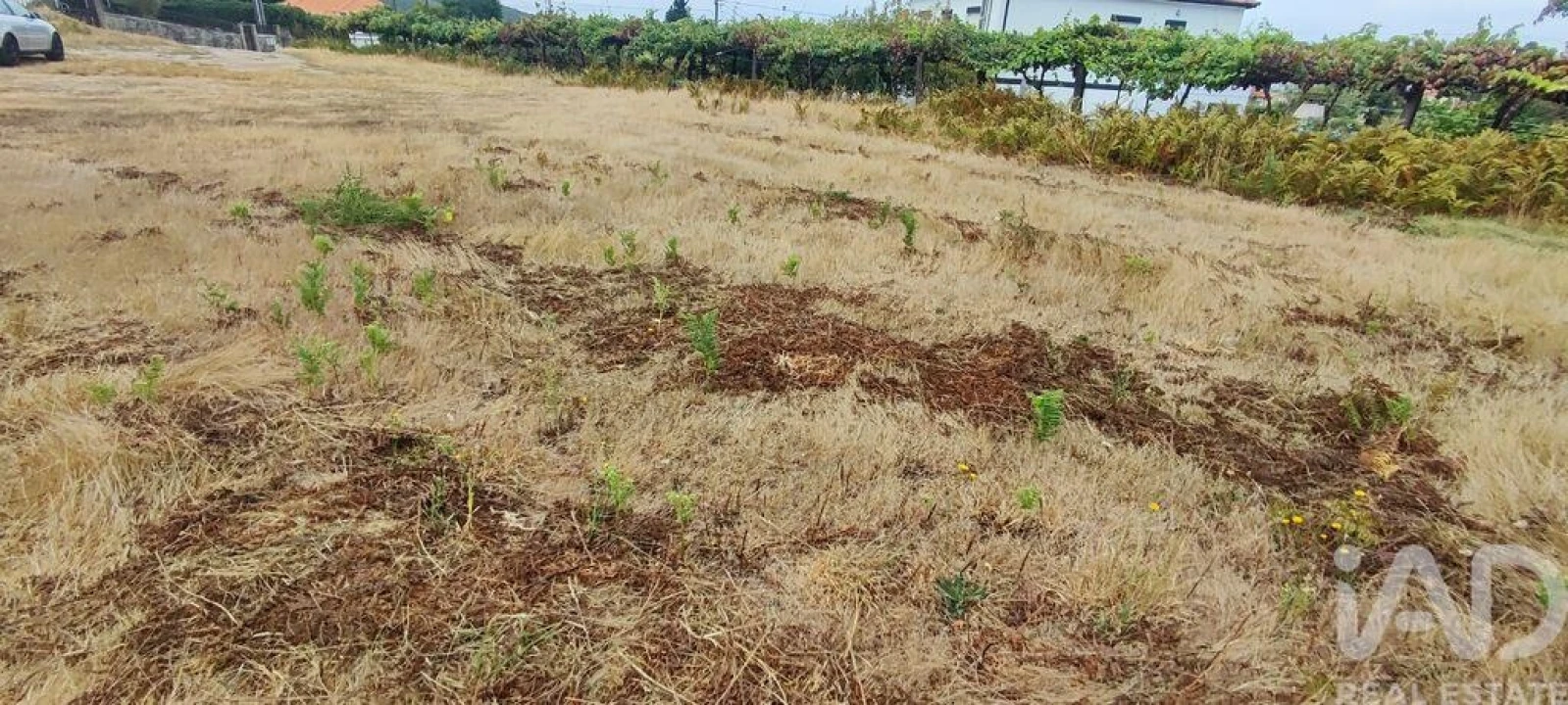 Terreno para Venda em Sopo Foto 30