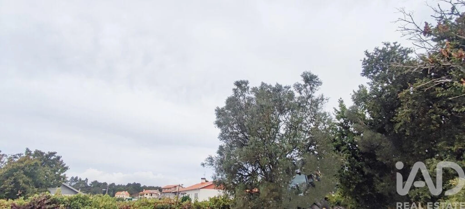 Terreno para Venda em Sopo Foto 15