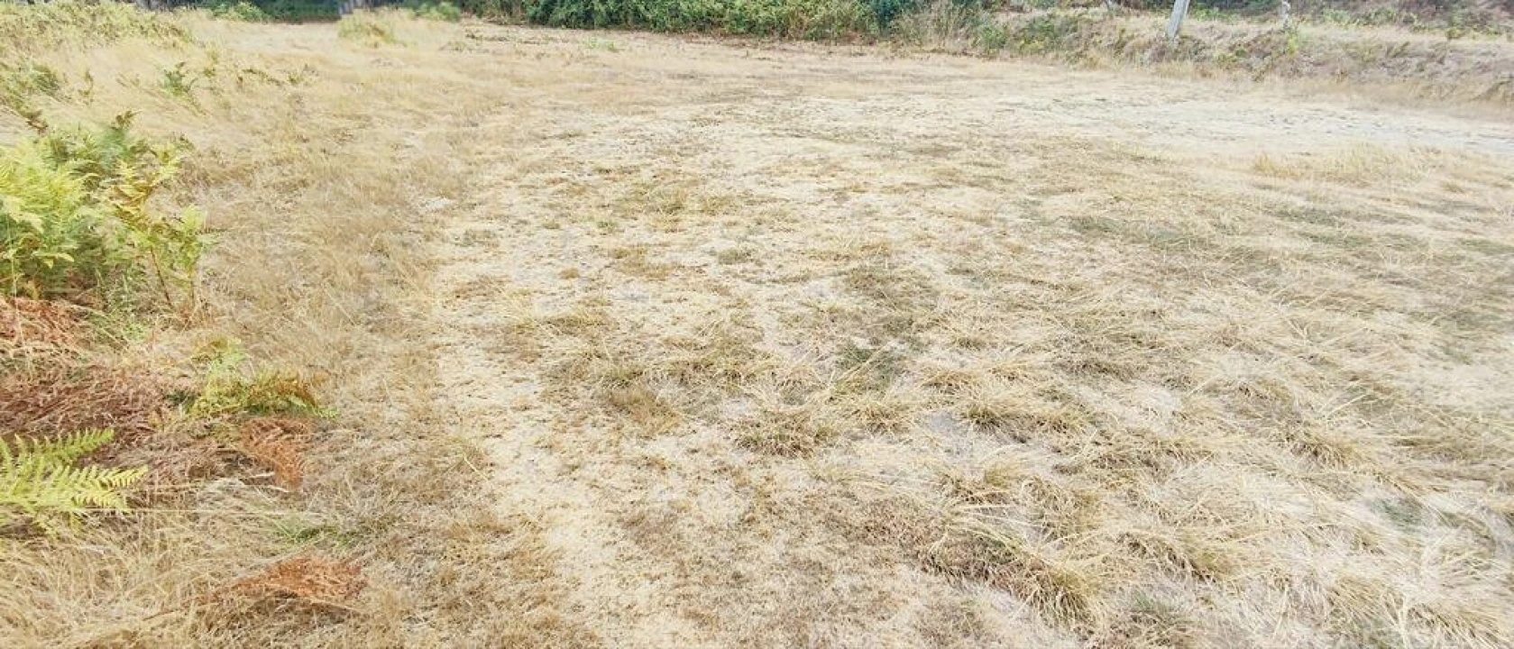 Terreno para Venda em Sopo Foto 8