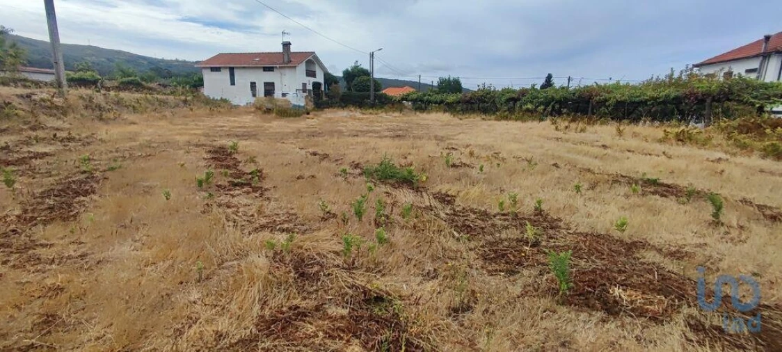 Terreno para Venda em Sopo Foto 12
