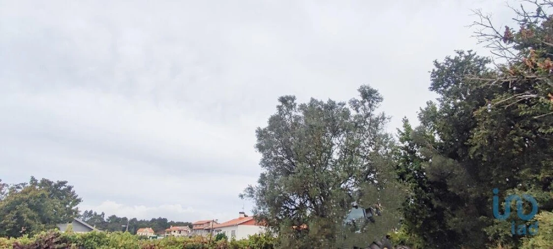 Terreno para Venda em Sopo Foto 14