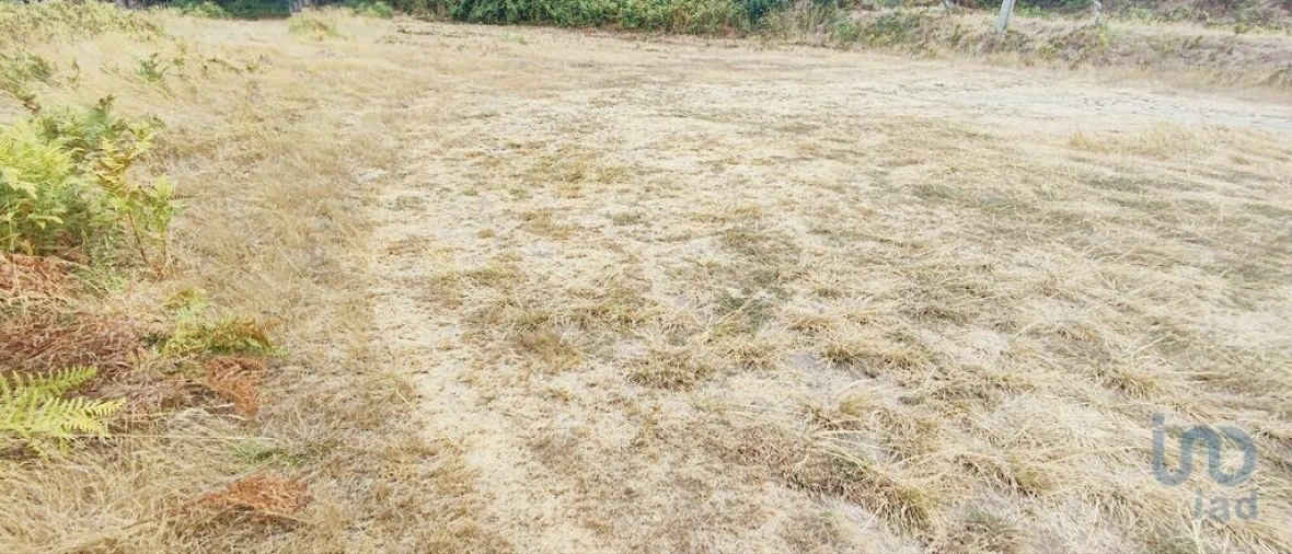 Terreno para Venda em Sopo Foto 7