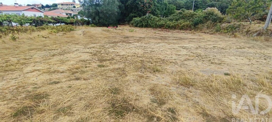 Terreno para Venda em Sopo Foto 21