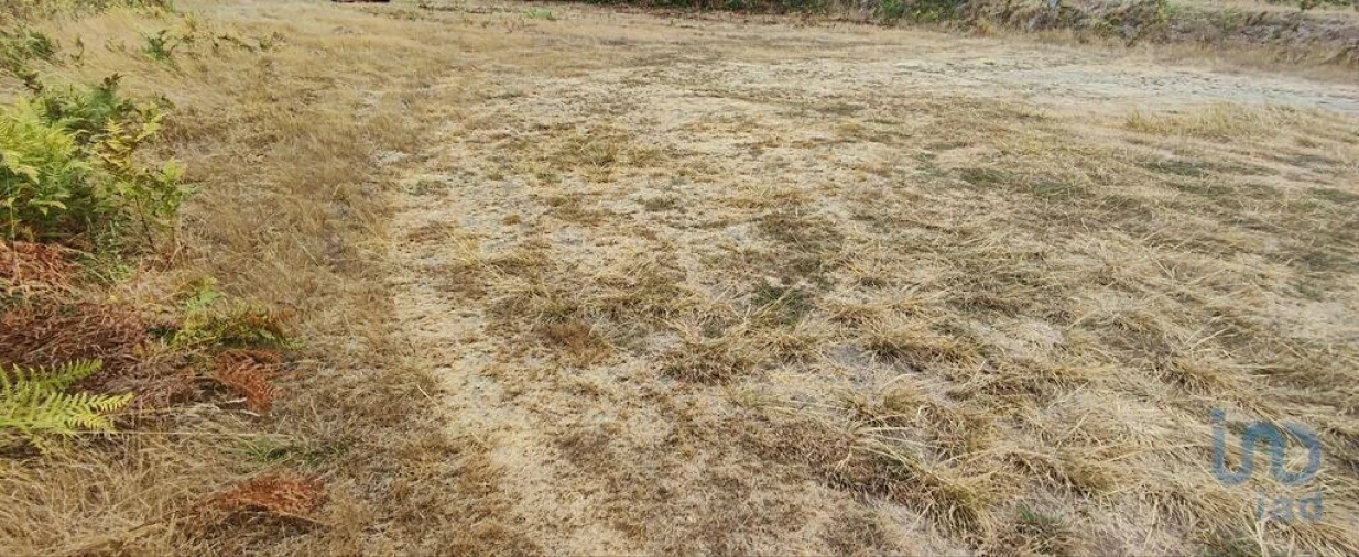 Terreno para Venda em Sopo Foto 6