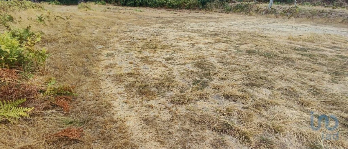 Terreno para Venda em Sopo Foto 8