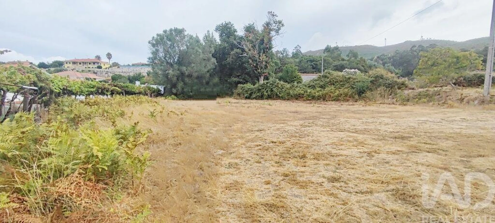 Terreno para Venda em Sopo Foto 10