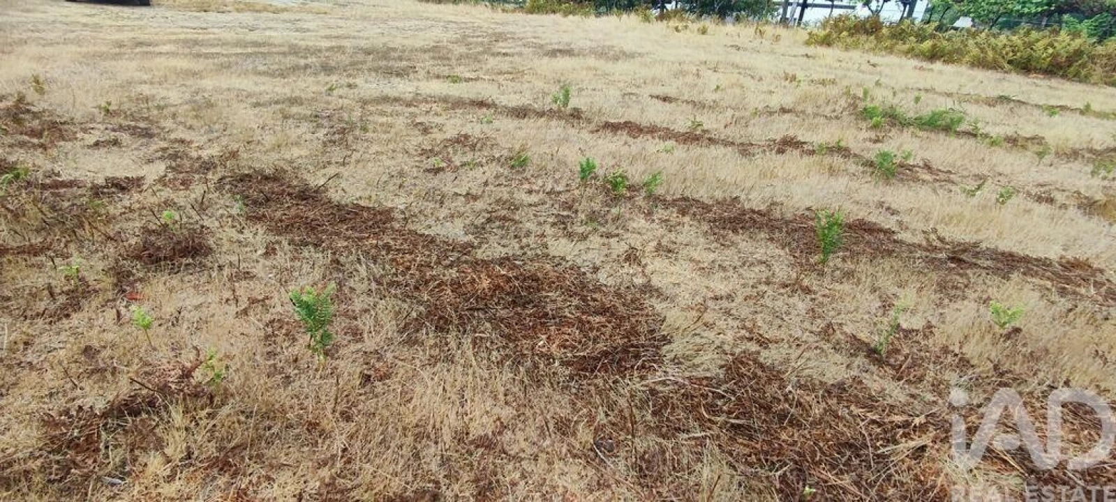 Terreno para Venda em Sopo Foto 25