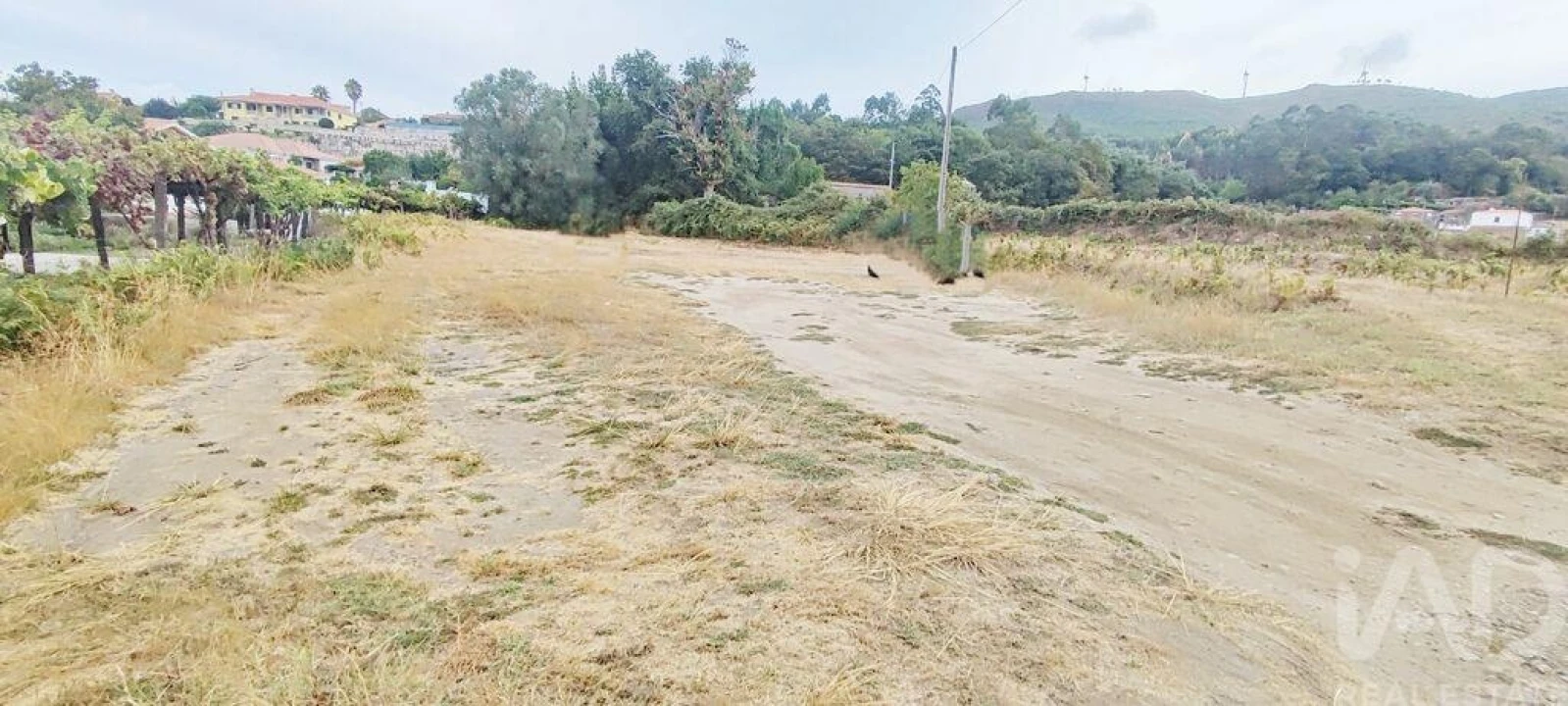 Terreno para Venda em Sopo Foto 2