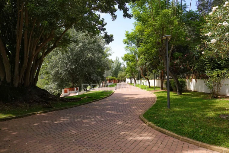 Moradia T5 para Venda em Constancia Foto 14