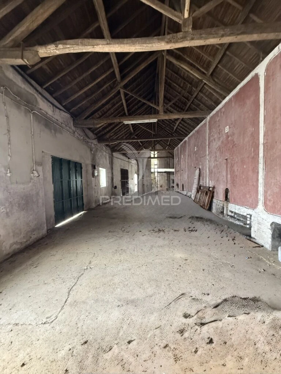 Armazém para Venda em Arrimal e Mendiga Foto 10