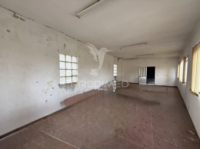 Armazém para Venda em Arrimal e Mendiga Foto 16