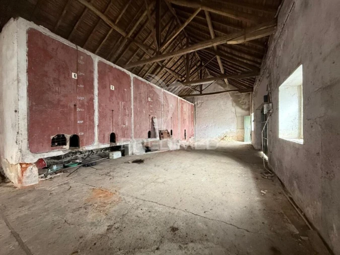 Armazém para Venda em Arrimal e Mendiga Foto 10