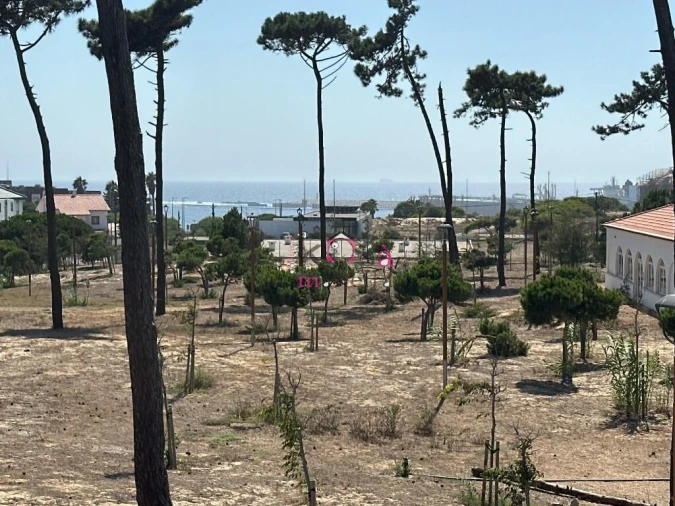 Prédio para Venda em Sines Foto 38