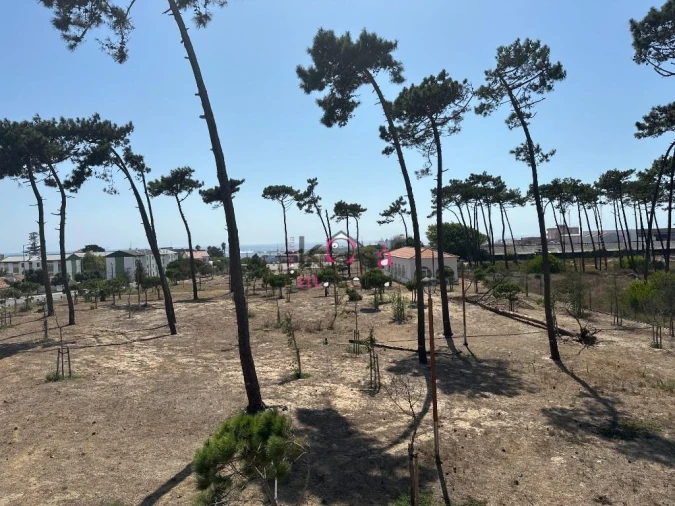 Prédio para Venda em Sines Foto 41