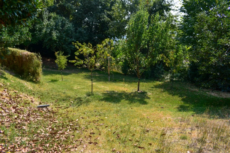 Moradia T3 para Venda em Rossas Foto 53