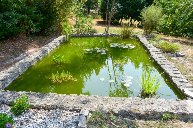 Moradia T3 para Venda em Rossas Foto 49