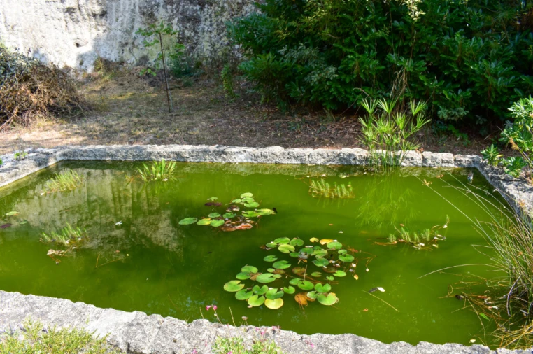 Moradia T3 para Venda em Rossas Foto 50