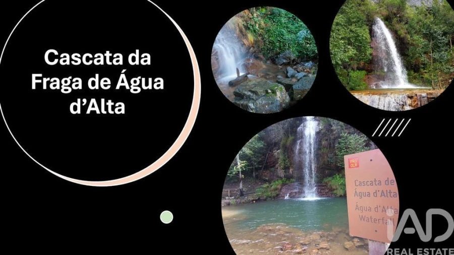 Moradia T4 para Venda em Orvalho Foto 28