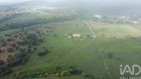 Moradia T3 para Venda em Esperança