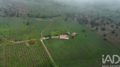 Moradia T3 para Venda em Esperança