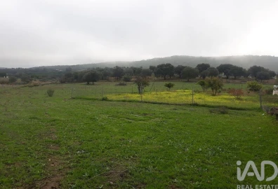 Moradia T3 para Venda em Esperança