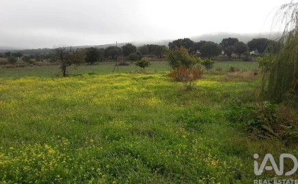Moradia T3 para Venda em Esperança