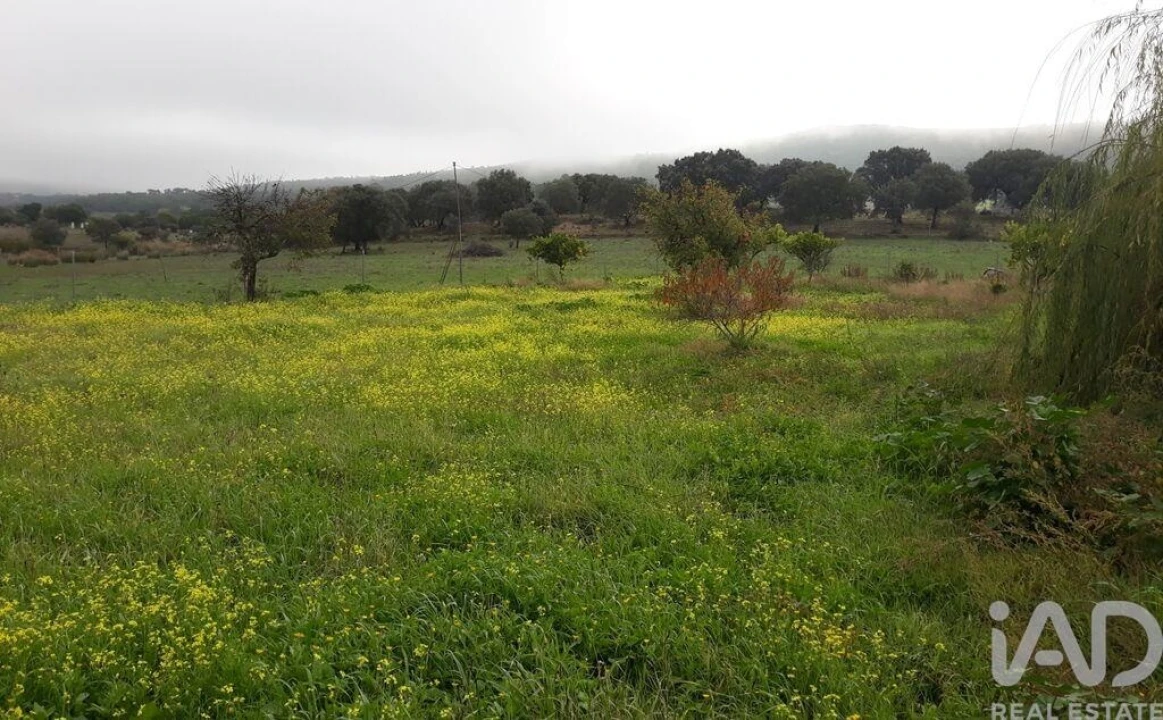 Moradia T3 para Venda em Esperança Foto 28